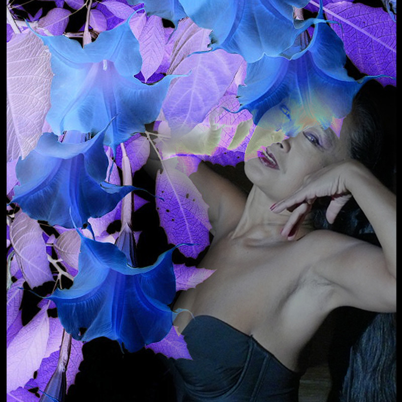 woman amidst blue flowers