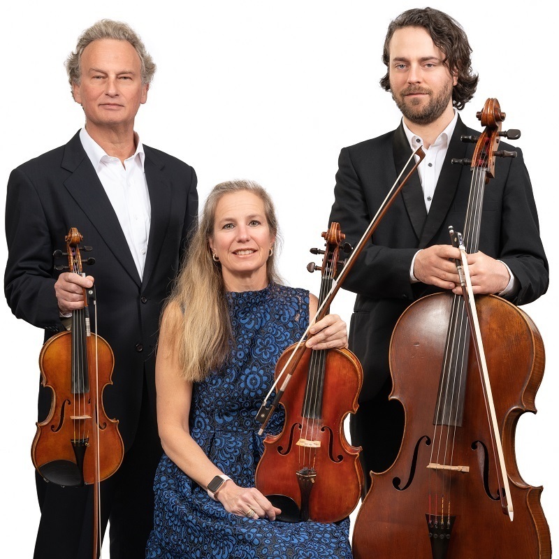 The Grosvenor Ensemble: A trio of trios - A man standing on the left, wearing a black suit and white shirt, holding a violin. A woman seated in the centre, wearing a blue floral lace dress, holding a viola. A man standing on the right, wearing a black suit and white shirt, holding a cello.