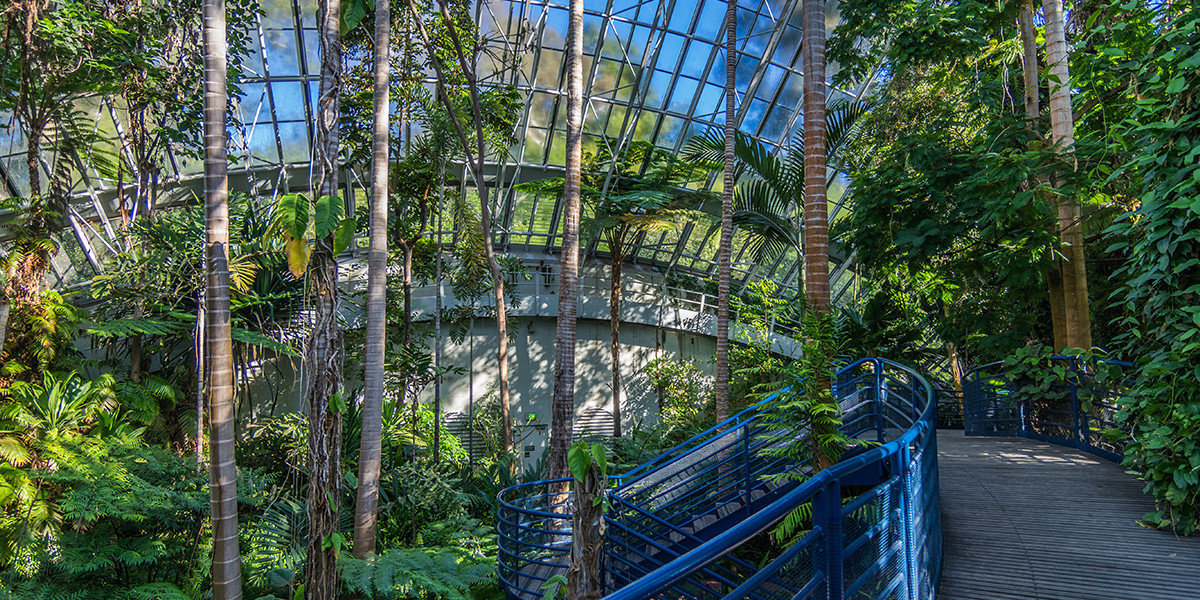 Bicentennial Conservatory Adelaide Botanic Gardens
