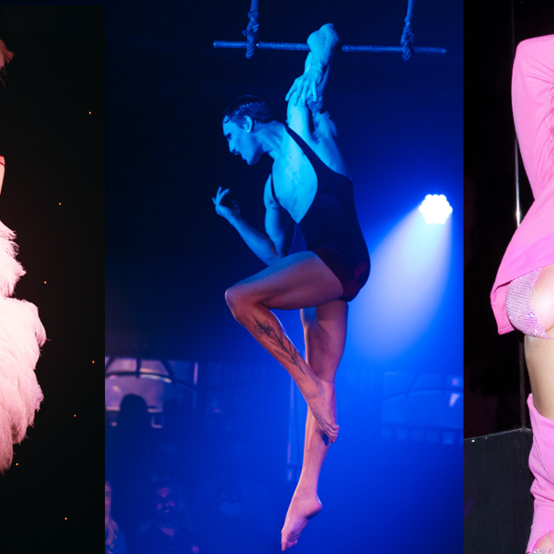 A trio of images with a burlesque performer holding fans, a trapeze artist hanging from one arm, and a dancer striking a pose with one arm above her head.