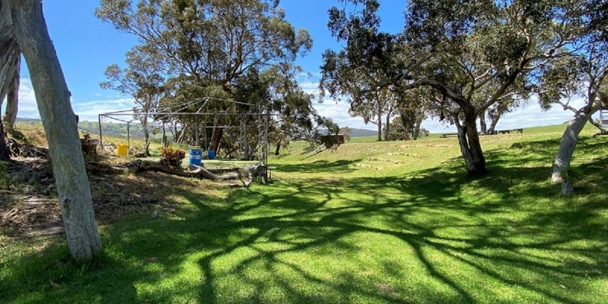 green grass area