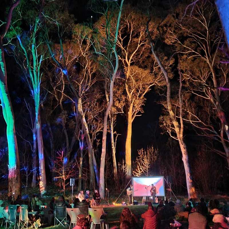 Illuminated gum trees frame the stage at Belair National Park.