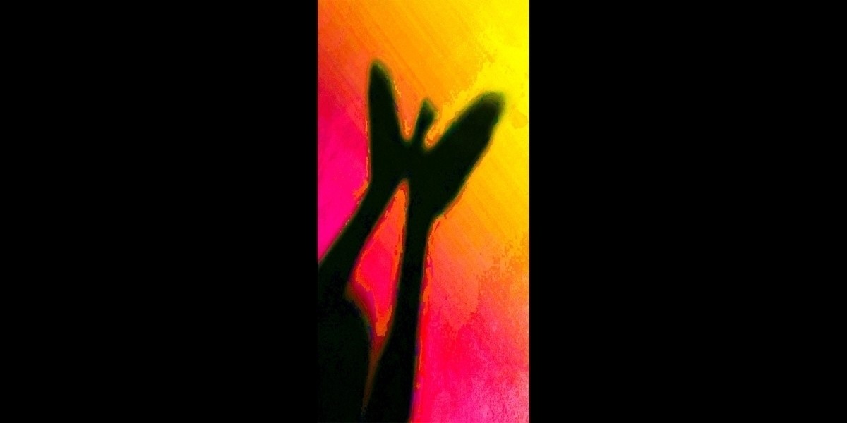 Butterfly shadow puppet on a pink, yellow sunrise background.