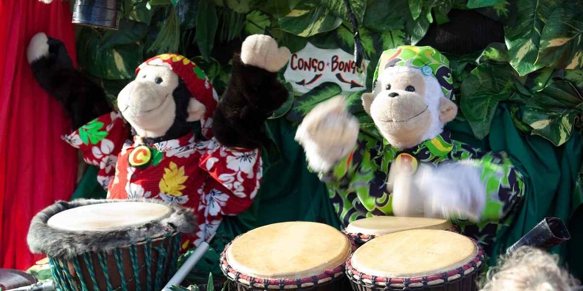 "Bongo" and "Congo" the orignal Drumming Monkeys - Performing a show.