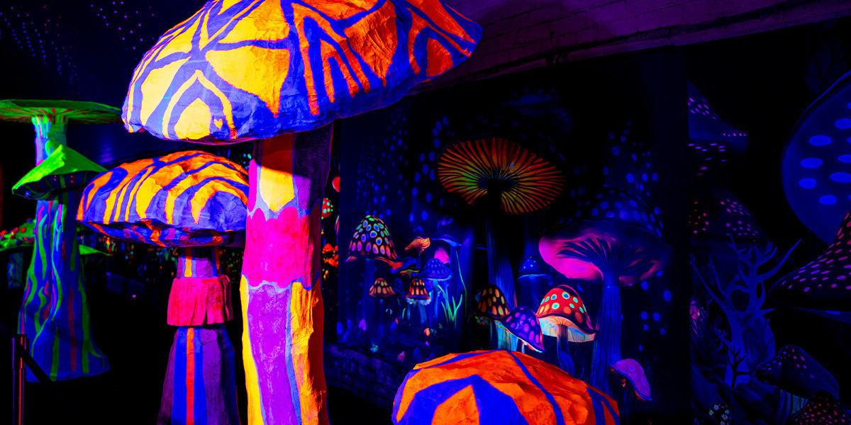 A vibrant and whimsical image of variously sized mushrooms in a fantasy-like setting. The largest mushroom dominates the scene with a glowing, striated underside in shades of yellow and orange, resembling the rays of the sun. Other mushrooms, in rich purples and pinks with polka dots, are scattered around it, creating a dreamy and surreal landscape. The background is a deep purple, enhancing the mushrooms' luminous quality. This scene seems to glow with an inner light, giving it an ethereal, other-worldly atmosphere.
