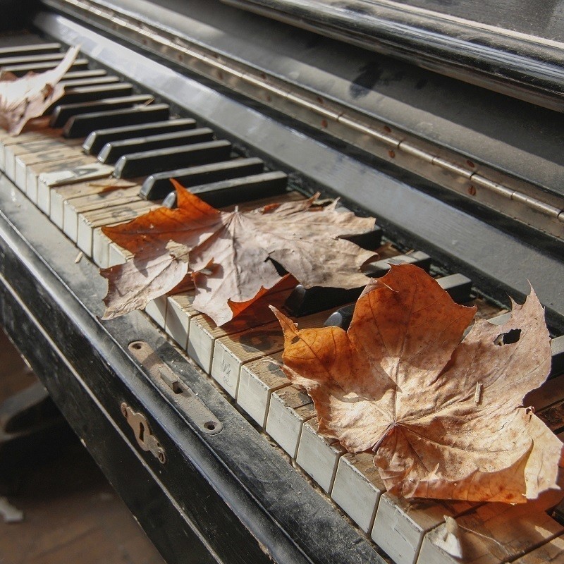Autumn leaves rest on the keys of a weathered piano.
