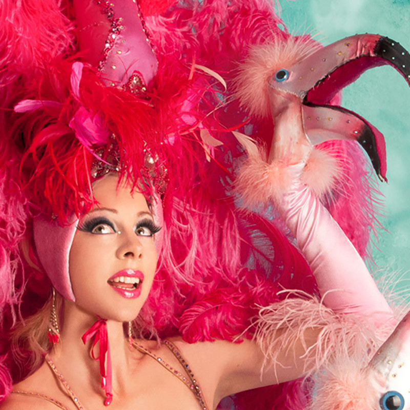 Portrait of Imogen Kelly in pink feather headdress with flamingo puppets on hands.