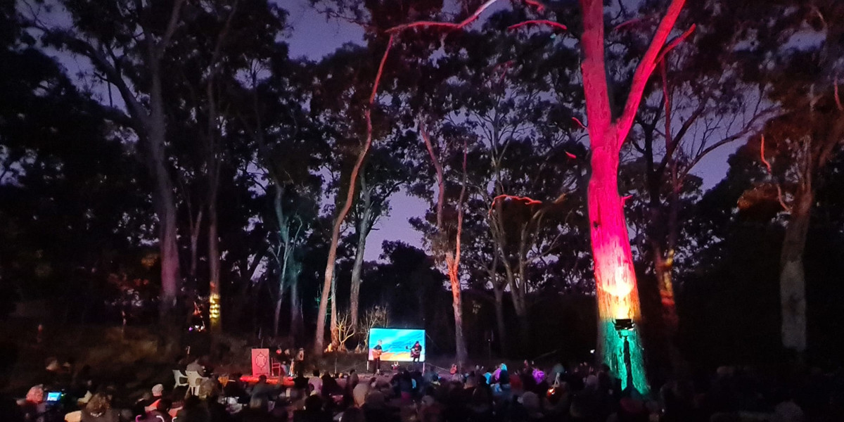 Beyond the Trees; Reconcile and Nurture - Magic Tortoise Band play to crowd in front of projected art and coloured lights on gum trees.
