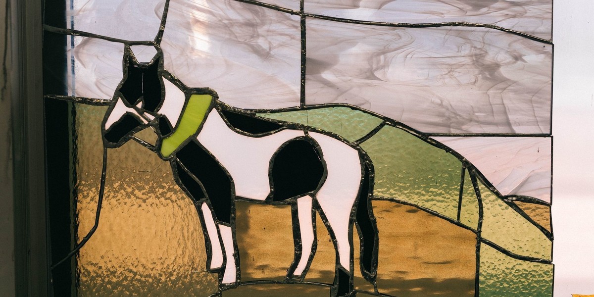 A leadlight design by Chelsea Farquhar depicts a black and white horse on a green hill like landscape. The sky is grey and the horse is wearing a bright green ruff around it's neck.