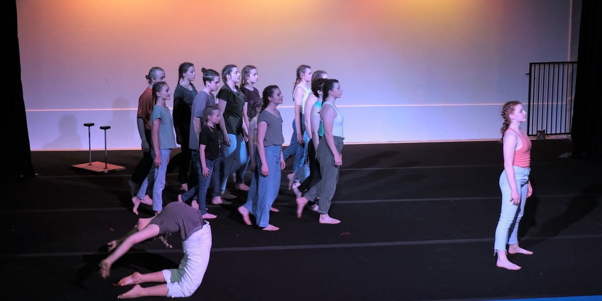 A group of people in jeans and coloured tops looking at 1 solo performer in the lower right corner. There is a teenager doing a back bend in the lower left corner. All performers are looking proud.