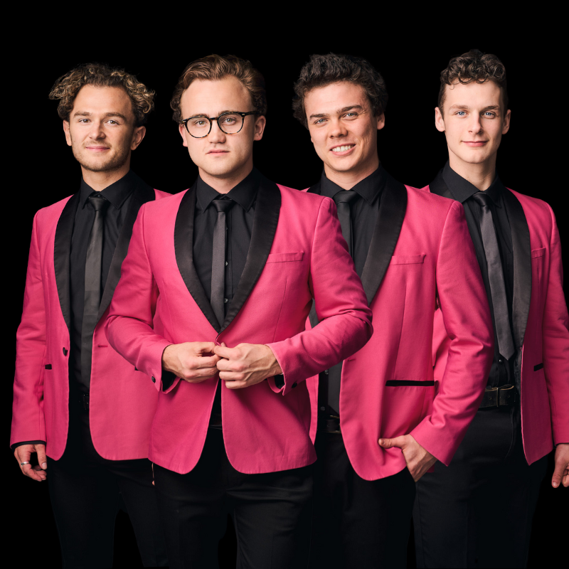 Four lads are standing next to each other looking down the camera, dressed in black shirts with striking, vivid pink suit jackets.