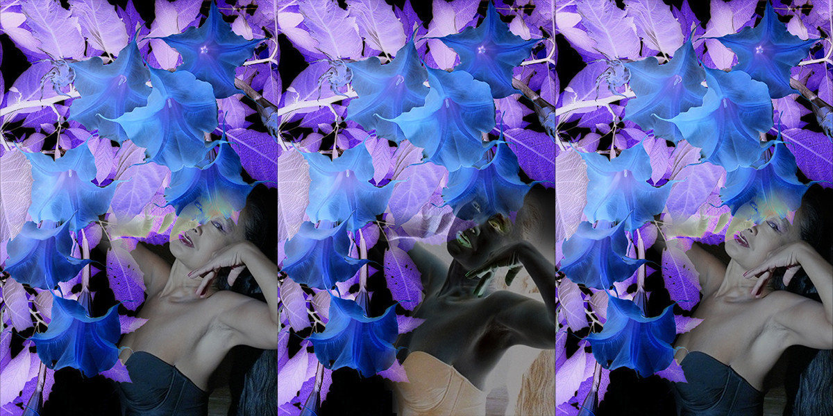 3 images of woman amidst blue flowers