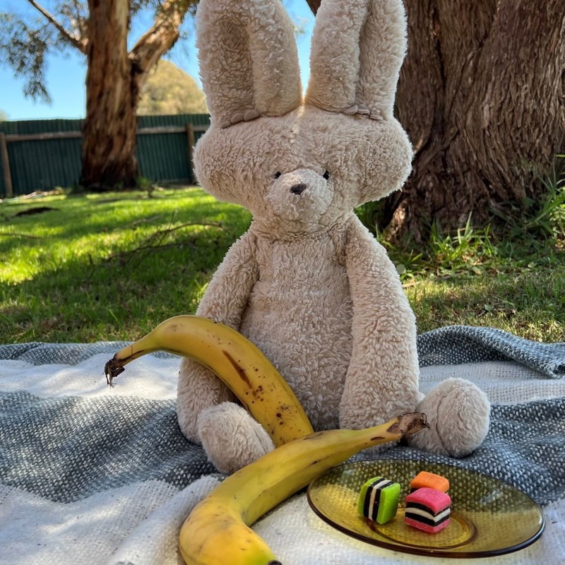 Teddy Bears Picnic and Bear Hunt - Stuffed long eared teddy sitting with two bananas and a plate of licorice allsorts