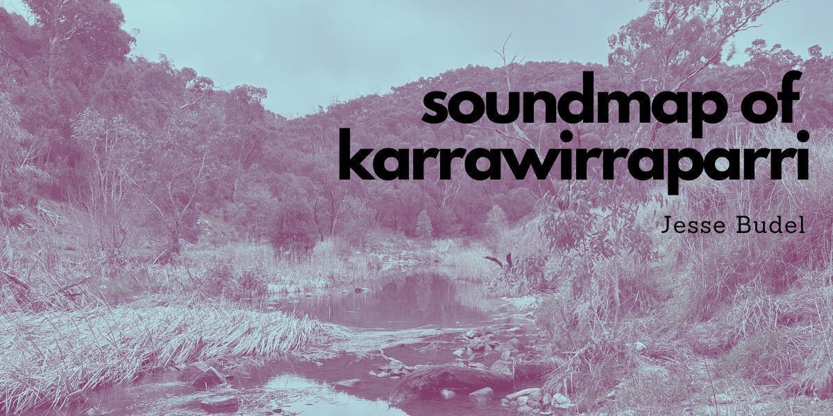 A Soundmap of Karrawirraparri - The banks of karrawirraparri/the River Torrens near Gumercha, South Australia in a duotone colour palette.  Behind the river is a hill decorate with eucalypt trees. Inset is the text, 'soundmap of karrawirraparri, Jesse Budel'