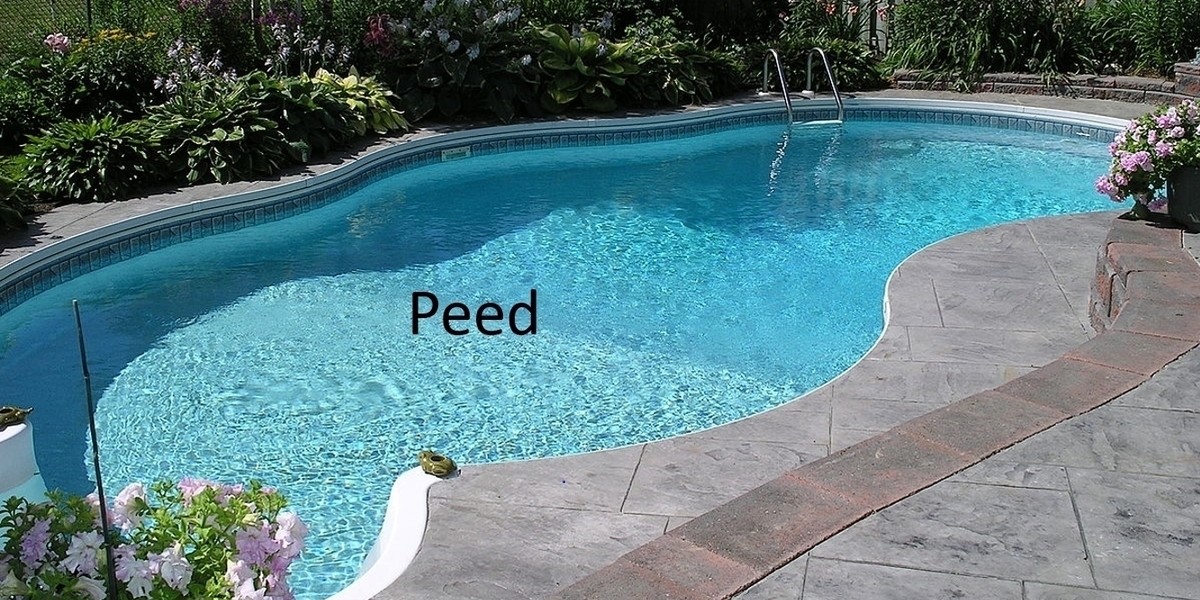 A stock image of a swimming pool with the word "Peed" written out in the middle.