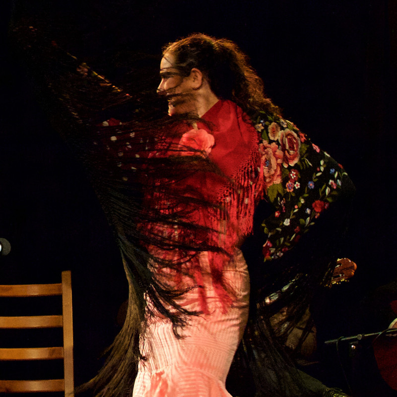 Flamenco dancer Yasmine Hilton in Gypsy Caravan
Photo by Sophie Abbott