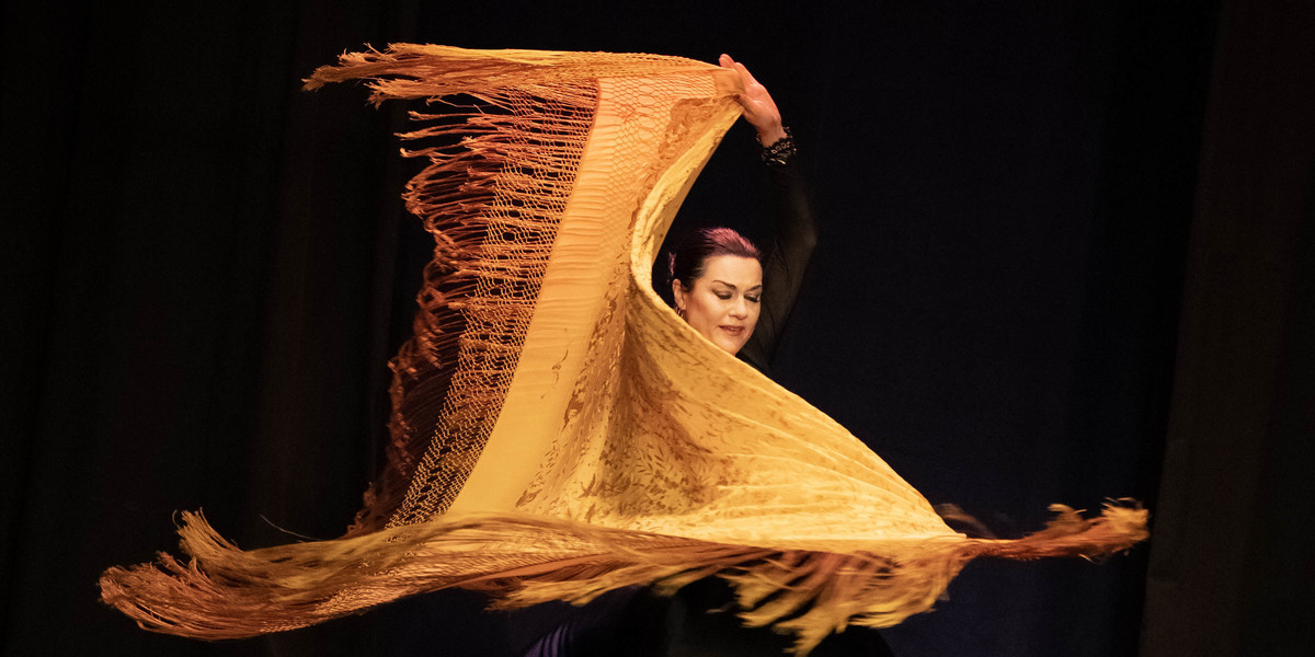 Flamencodancer performing a show with live music