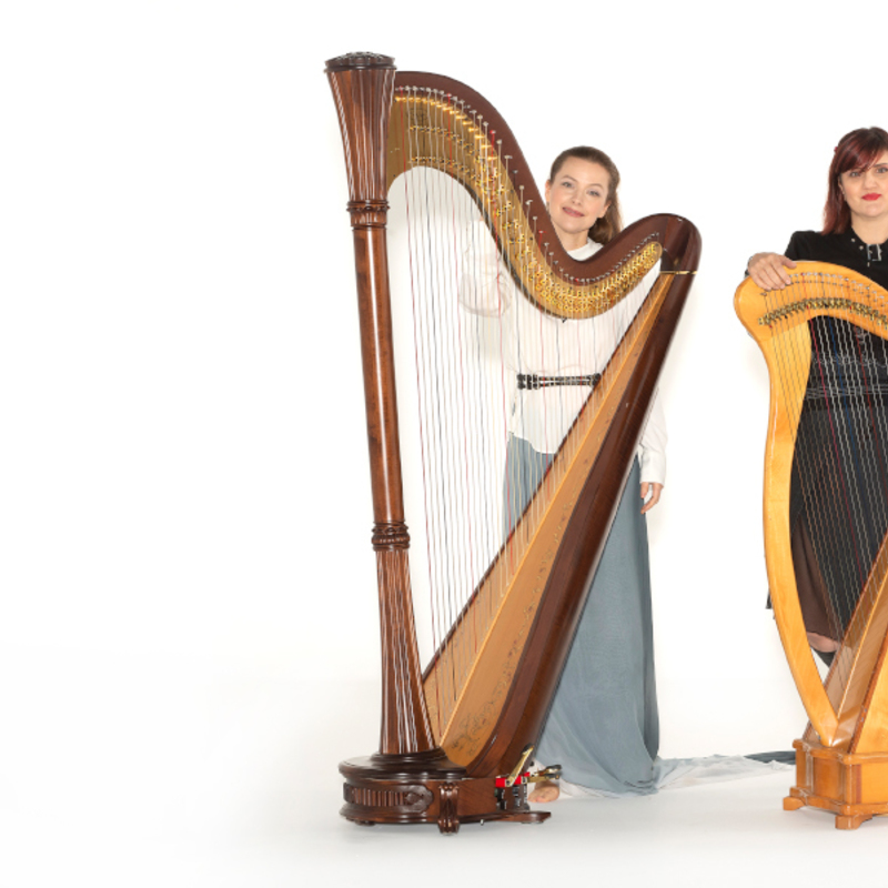 Harp to Harp with Emma and Vish
