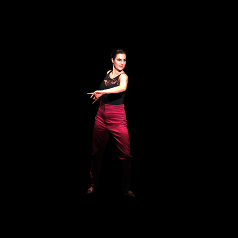 Flamenco dancer performing solo, accompanied by guitarist.