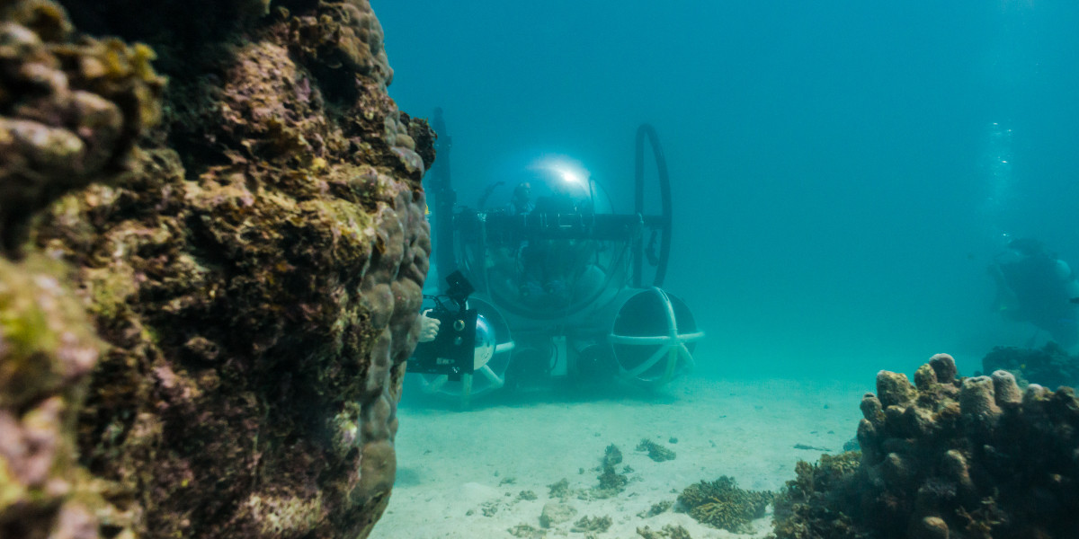 Ningaloo - Australia’s Other Great Reef: Full Dome Experience - A submersible on reef floor