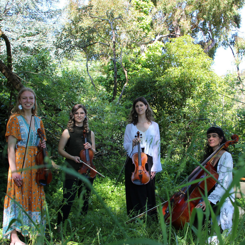 Four women in a semicircle surrounded by green grass, tall trees and a bright blue sky. The first woman is holding a violin and wearing a bright orange and blue flowy dress, followed by a wavy haired violinist with a deep green top on, holding her violin, then to a viola player in a white delicate shirt and black pants, finally a cello player sitting down with curly black hair and a white jacket with grey details.