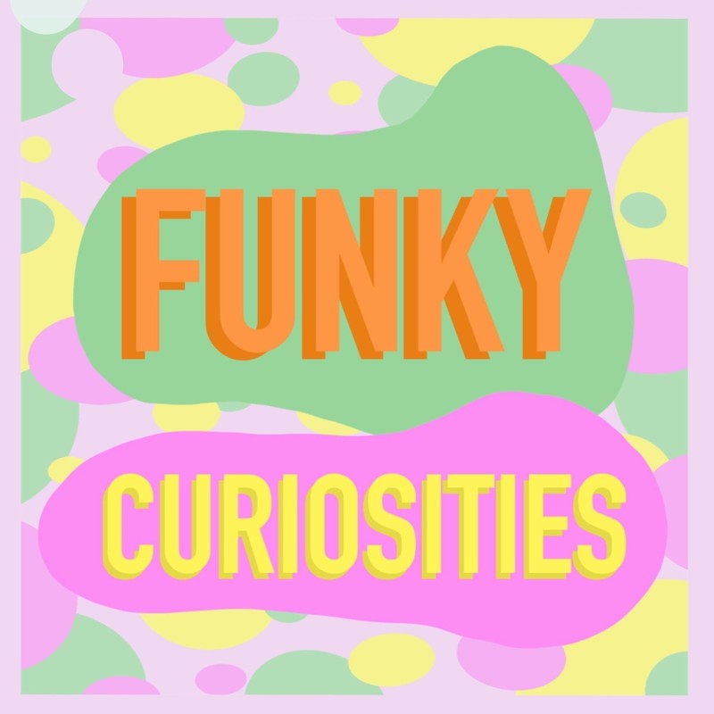 "Funk Curiosities" Artist Exhibition