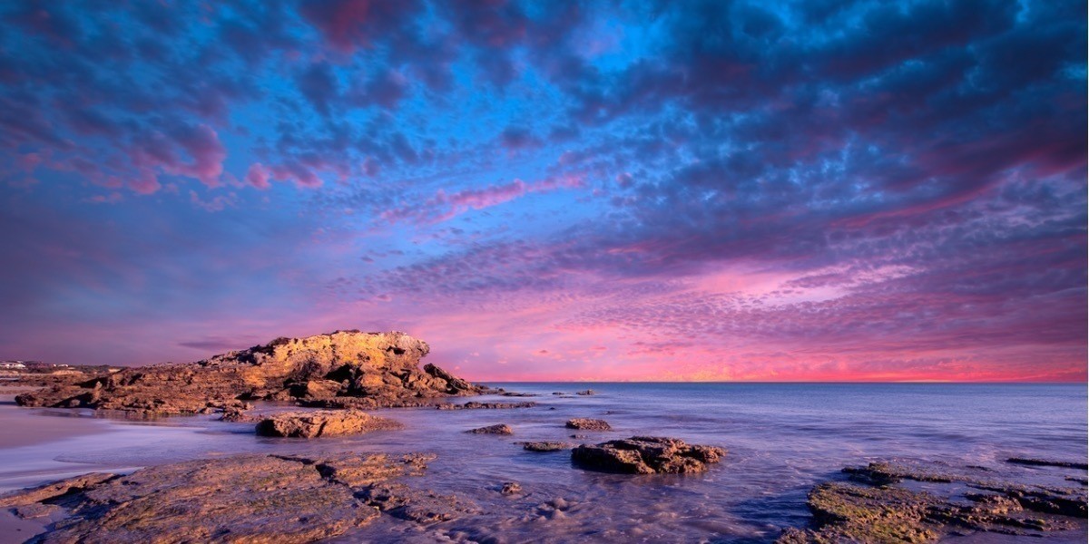 i, too bloom - Marino Rocks at purple sunset