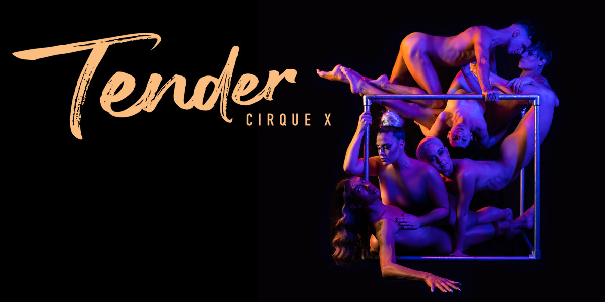 The 6 cast members of Tender are intertwining their bodies on a steel cube apparatus. They are giving the illusion of nudity with shadows and precisely placed limbs covering each other. The lighting is in hues of purple and gold on a black background. The words "Tender Cirque X" is written on the left side.