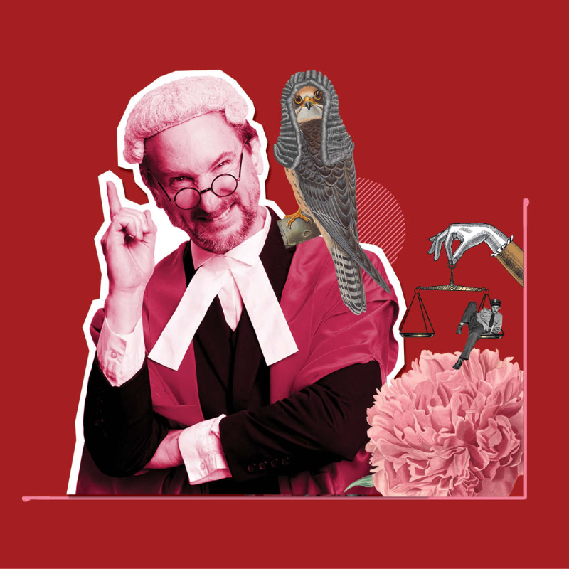 Trial By Jury - A smiling judge on red background, surrounded by random objects: an owl with a judge wig, a pink flower, an old scale with a man in uniform sitting on one of the plates.