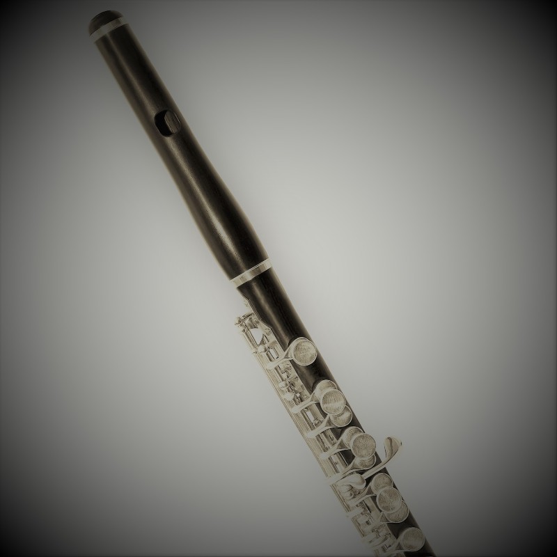 Death Whistle: Music for Solo Piccolo - Diagonal piccolo flute