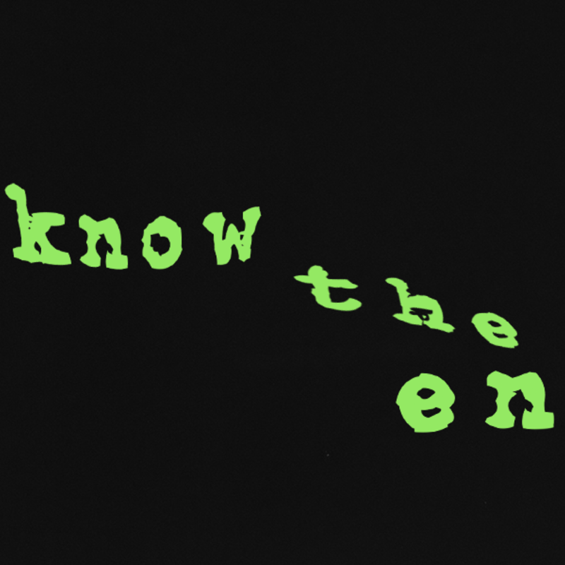 A black background with warped pale green typewrighter text that read 'i know the end'.