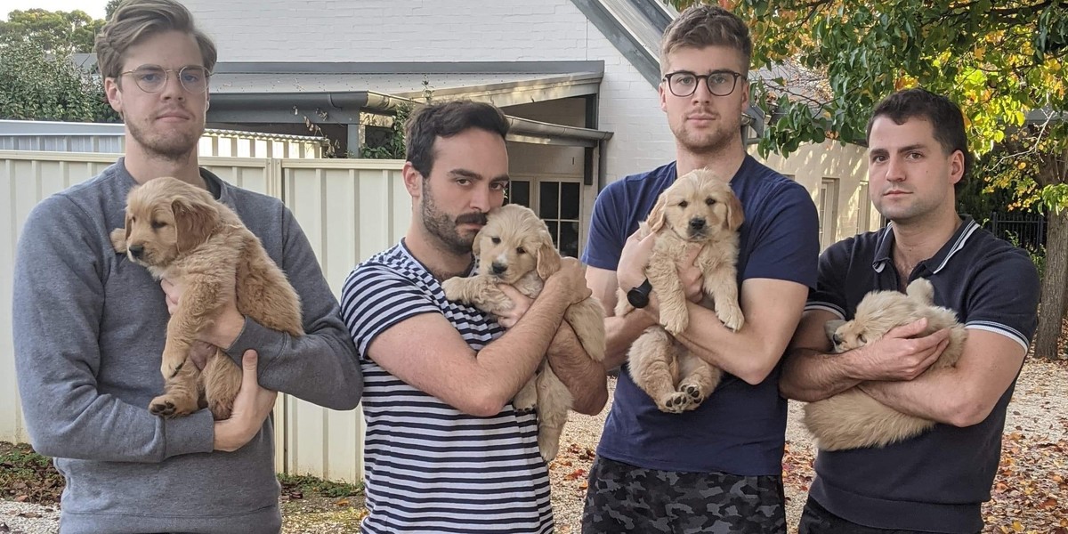 Four non-magicians holding puppies