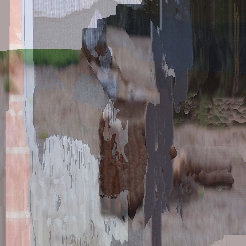 Site interrupted (working title) - Untitled (work in progress), 2021, collage, dimensions variable. Image courtesy of artist.