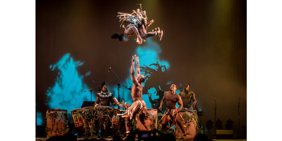 Afrique en Cirque - jaw-dropping acrobatics