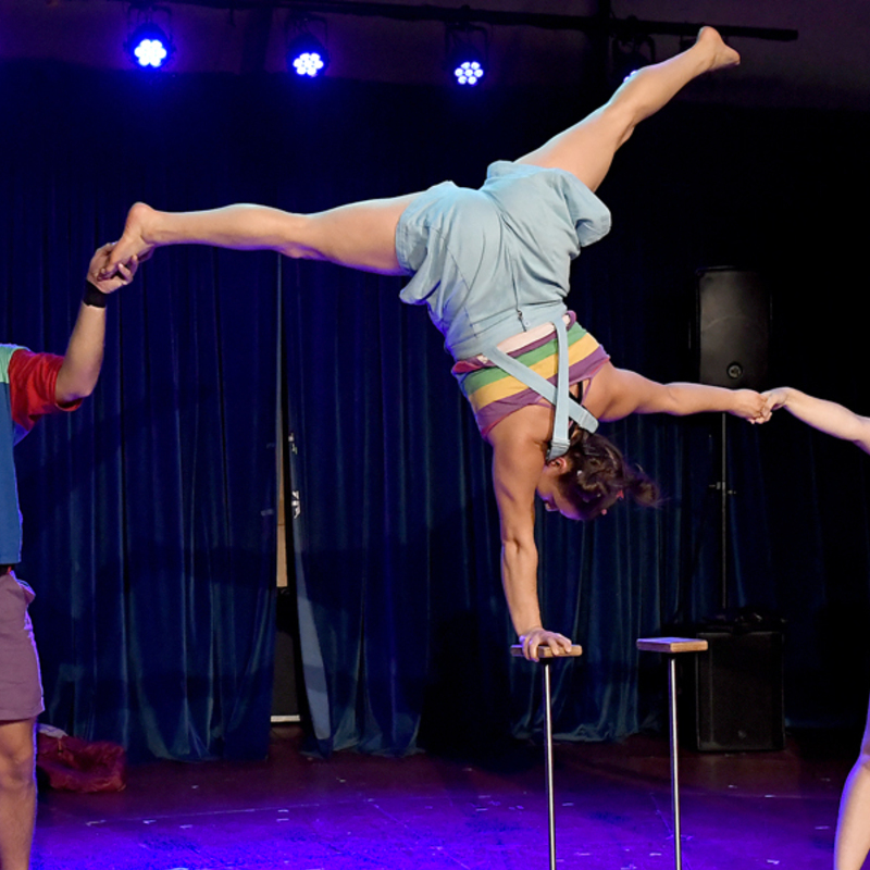 One person is upside down, handstanding on one arm while another holds their foot, and another person holds their free hand.