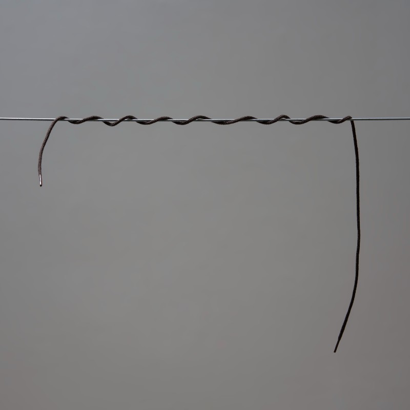Sonja Porcaro, Murmur (detail), 2022, Photography: Sam Roberts 

Description: A black shoelace loosely wound around a straight wire on a grey background.
