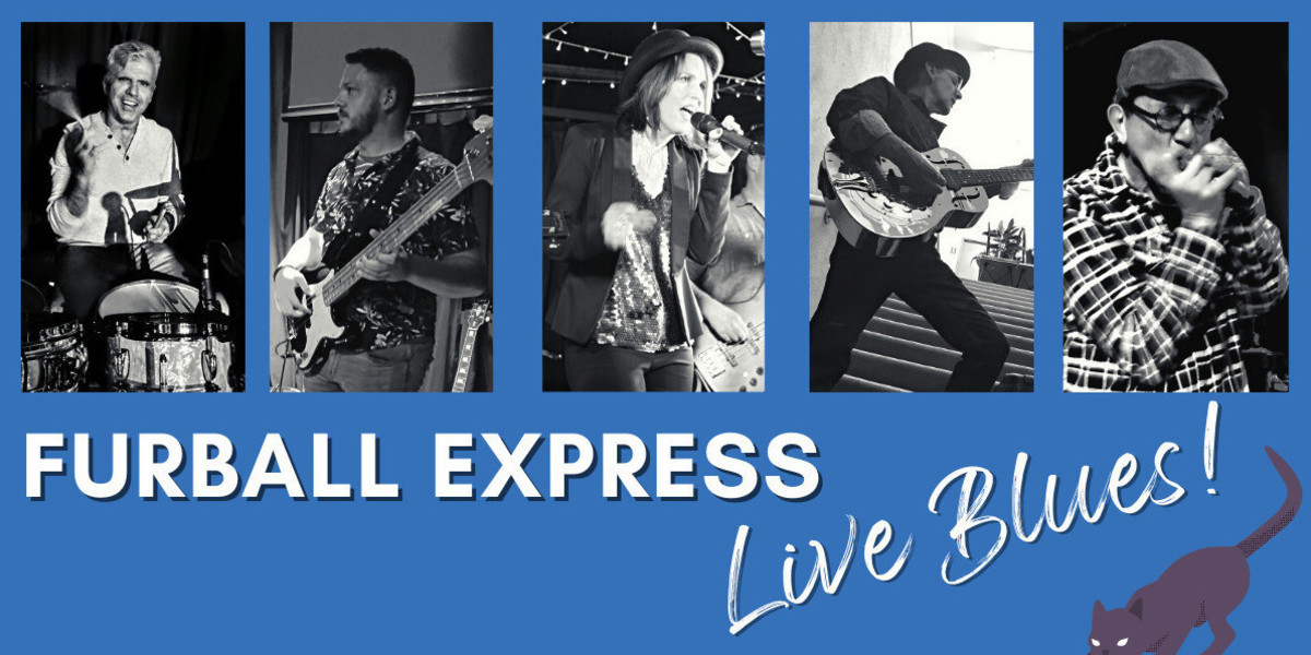 The five members of the Adelaide blues band called the Furball Express are each shown in a panel with a black and white live action photos on a blue background with text to indicate the band's name and that they play live blues music