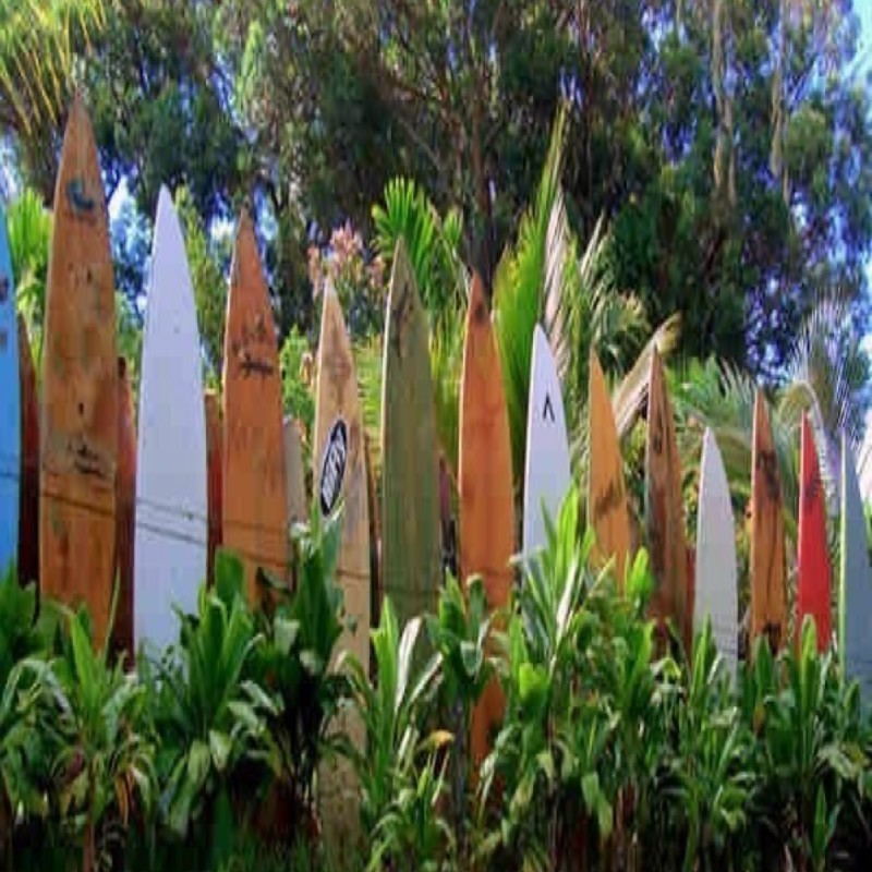 Sand sea surf and murder - surfboards lined up against palms