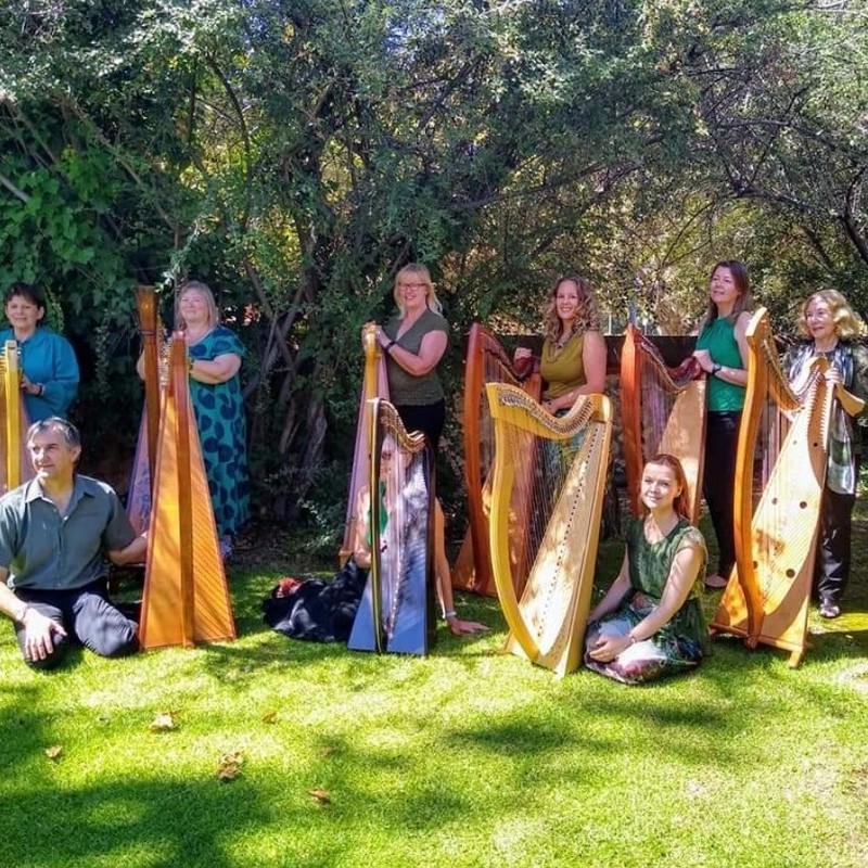 Around the world in 80 strings - Picture of SA Celtic Harp Orchestra with their harps