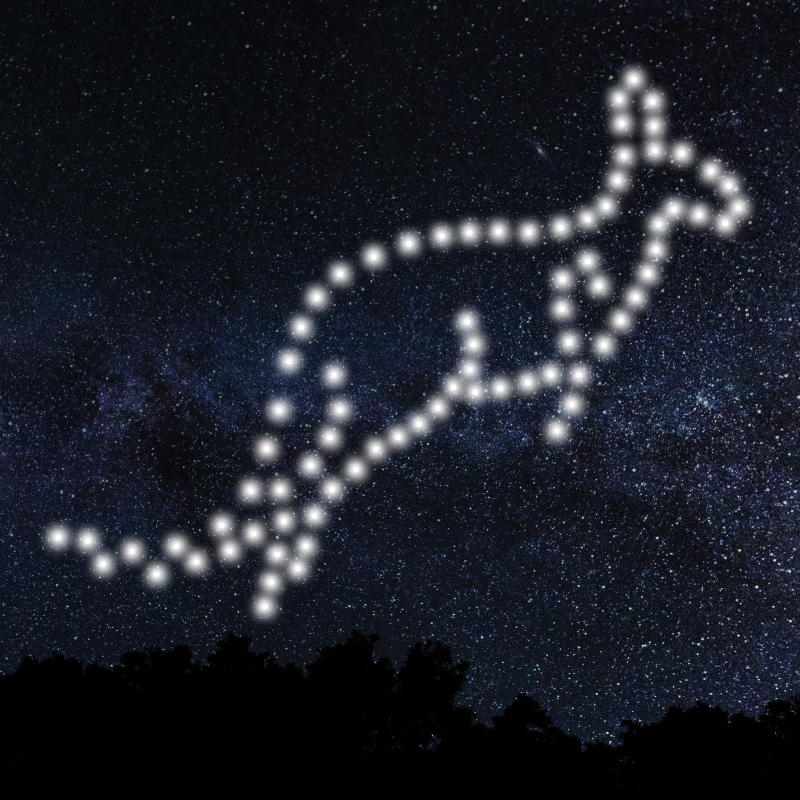 White blurry dots aligned to form a kangaroo, placed on a dark blue image of the sky
