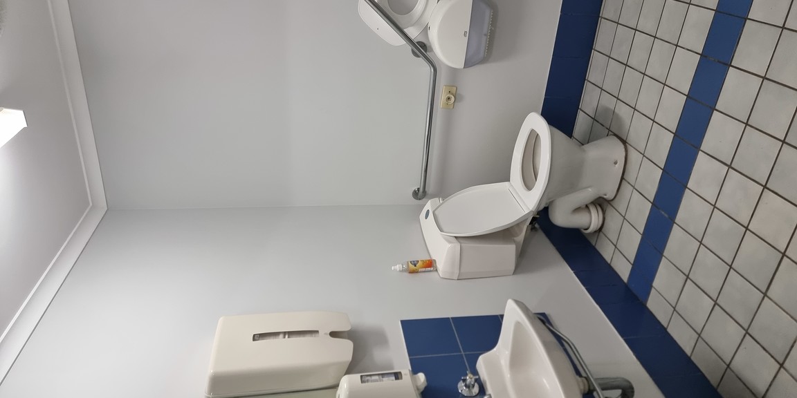 A large bathroom with a toilet, handrail, child-accessible toilet seat, sink and bin.