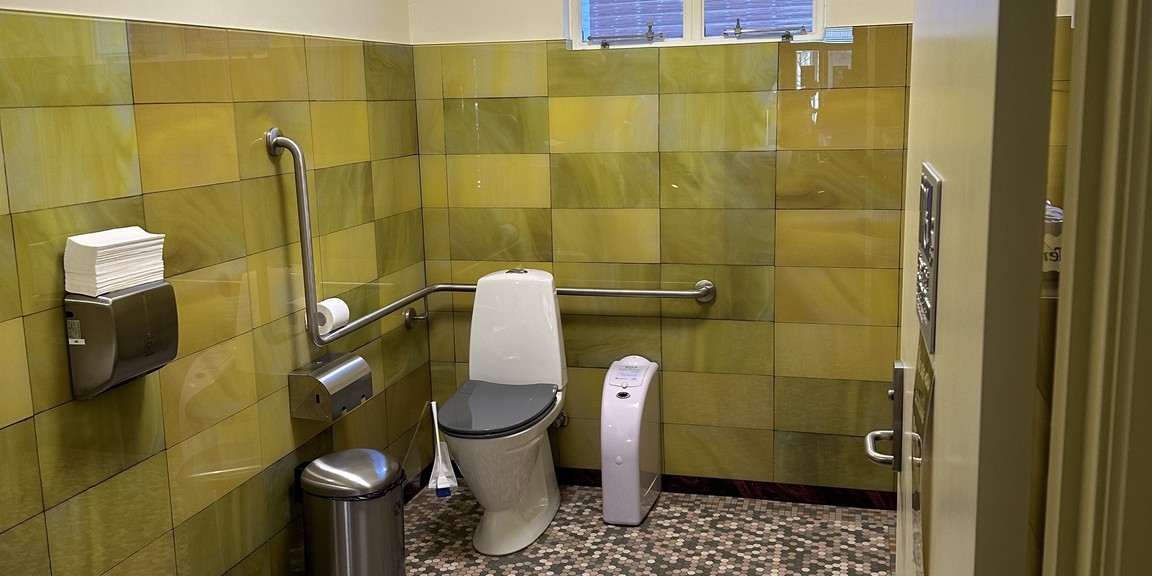A picture of the unisex accessible toilet off the Capri main foyer