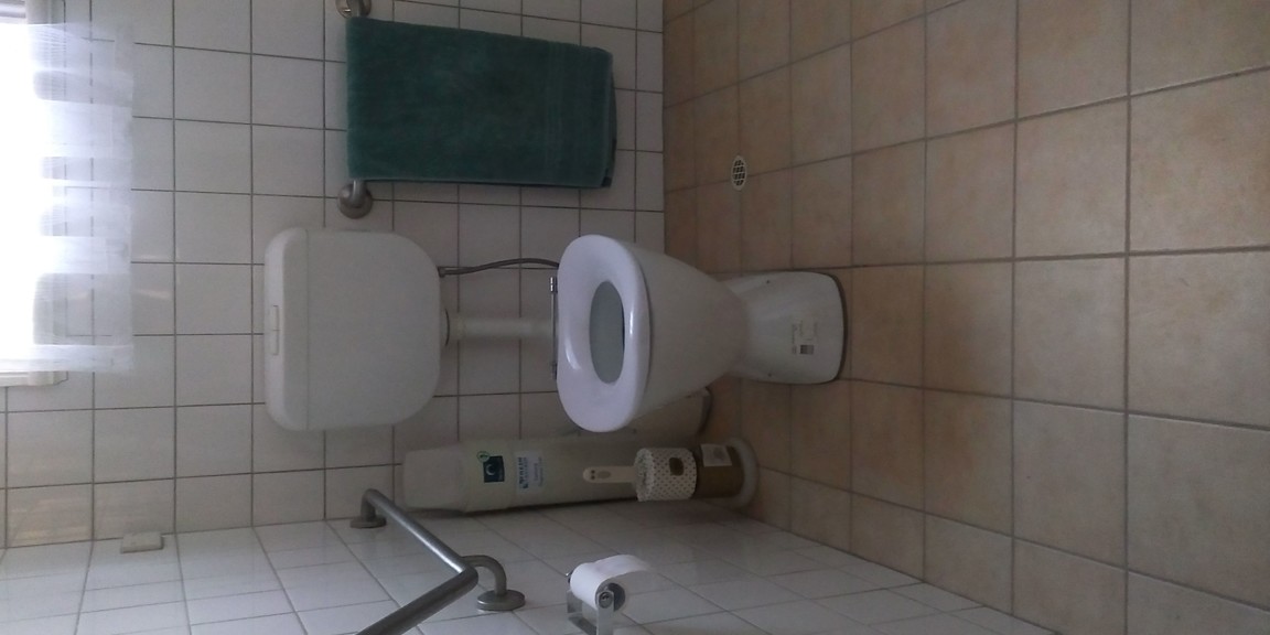 Disable toilet